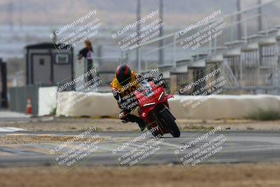 media/Mar-02-2025-Race Pace (Sun) [[8bec80ae00]]/12-Vested (Turn 2) 1111am/